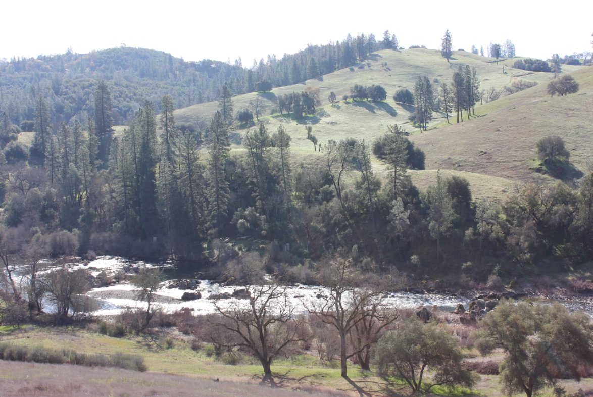 South Fork along the trail