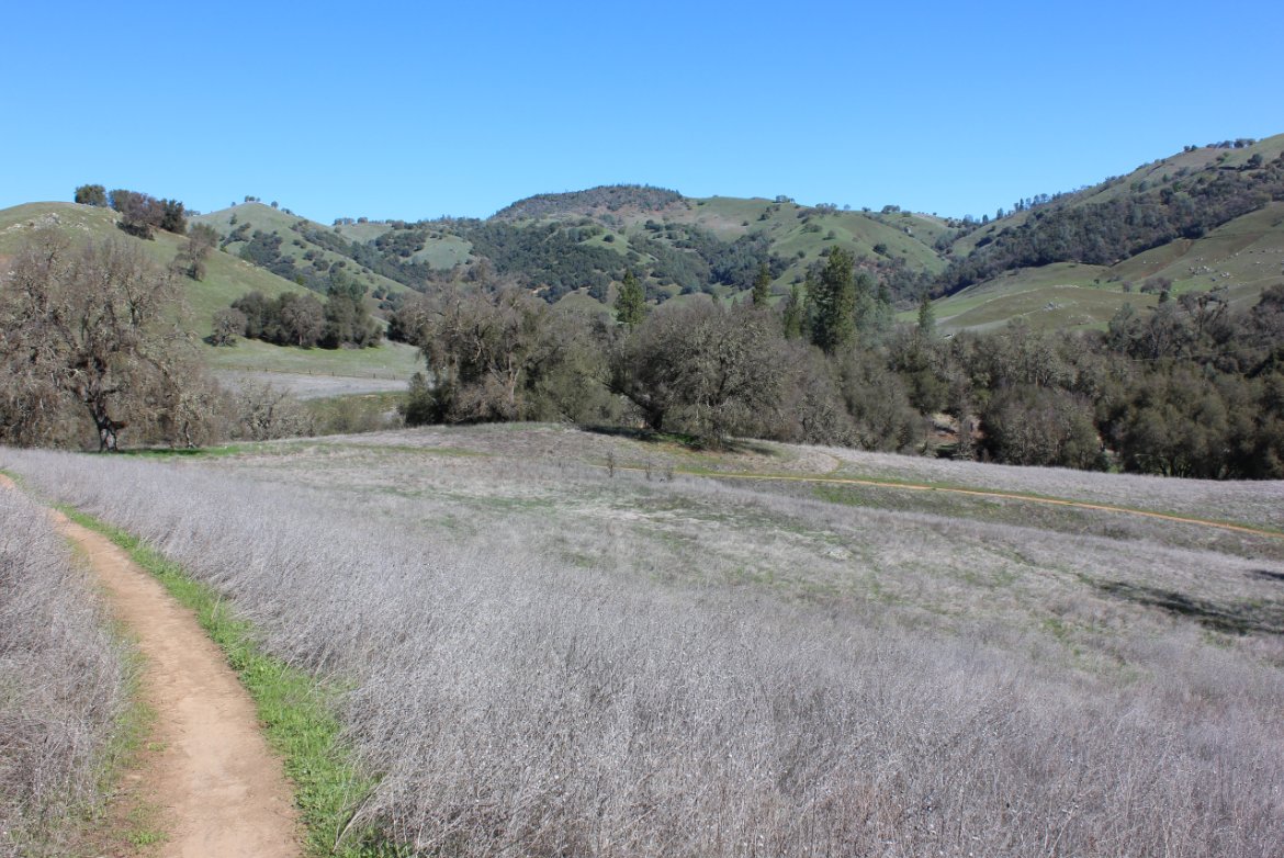 Starting out on the trail