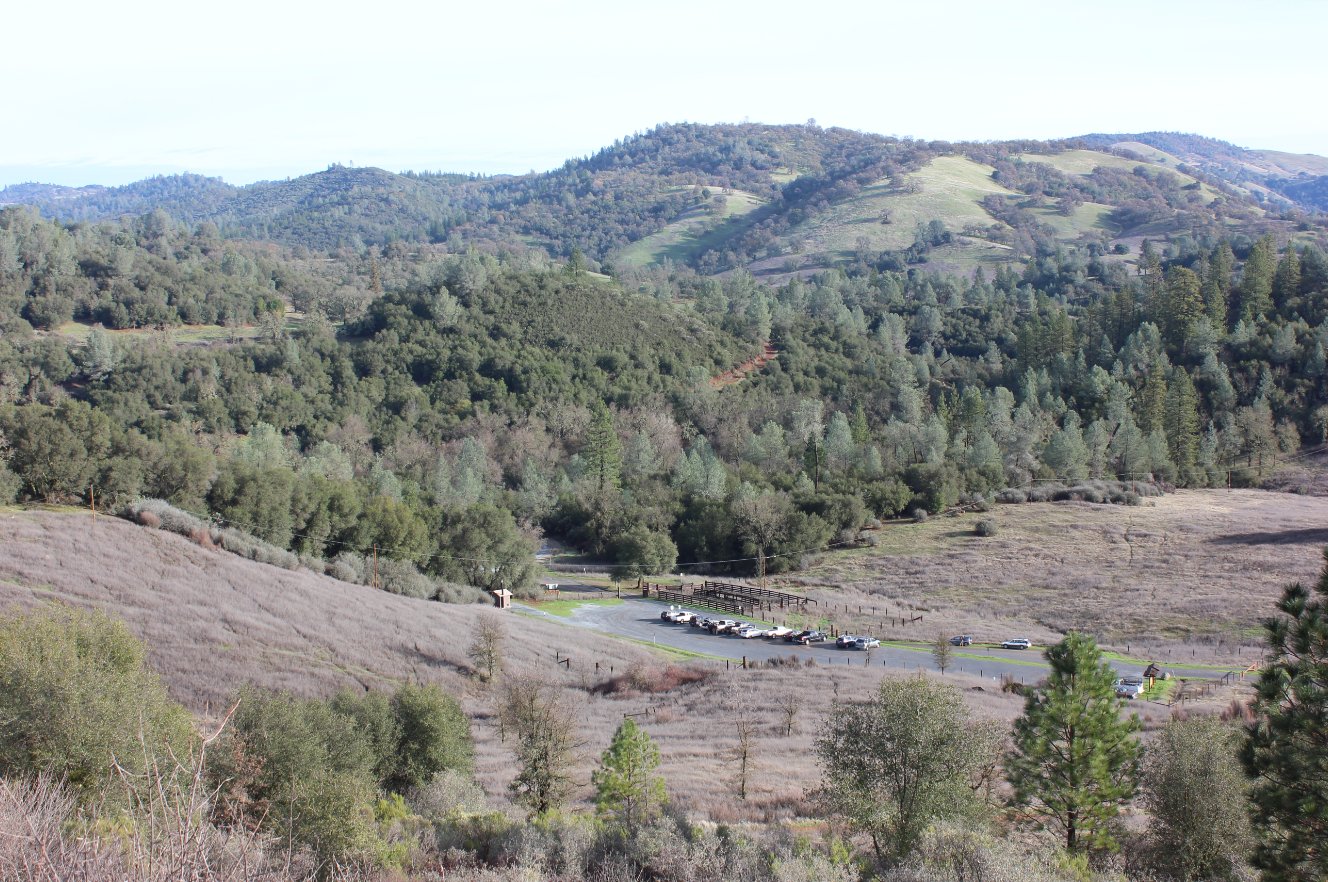South Fork along the trail