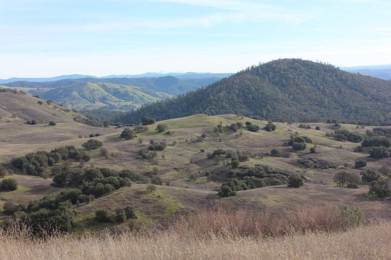 View to the east