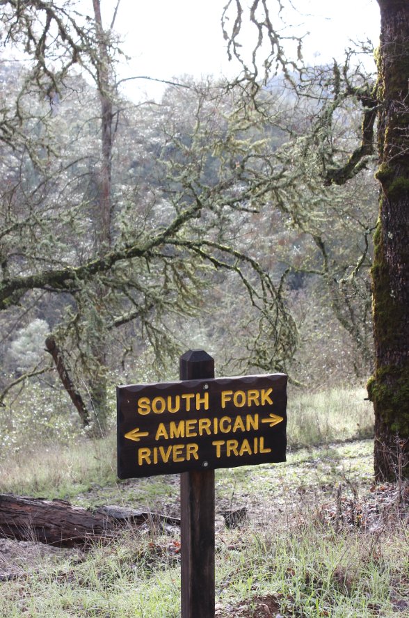 SFART Trail marker