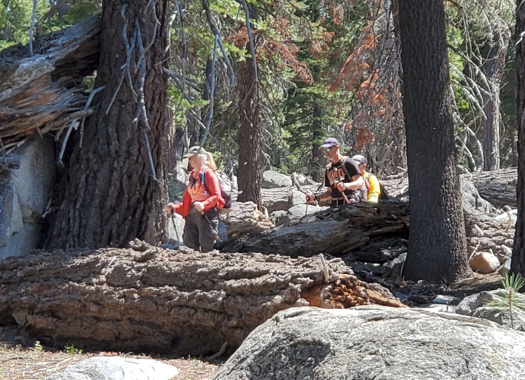 Navigating the trail back