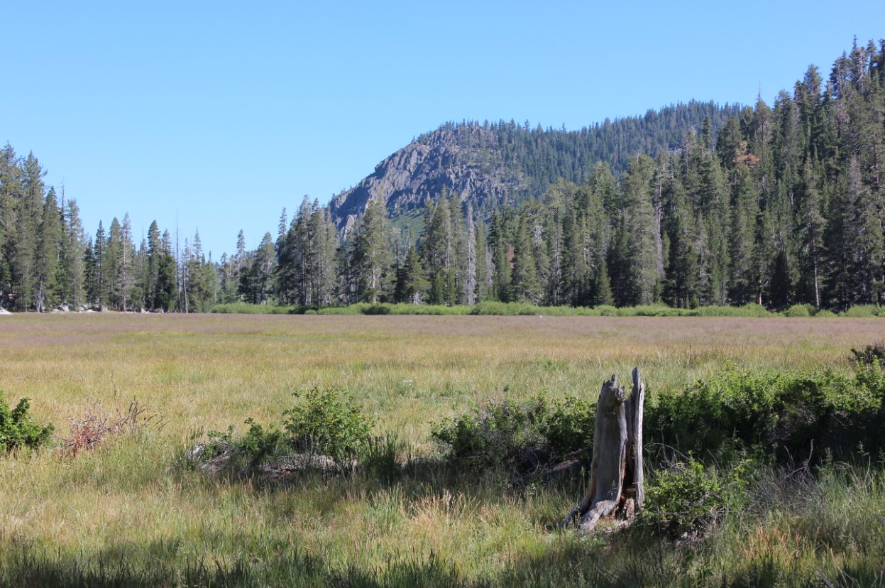 Big Meadow