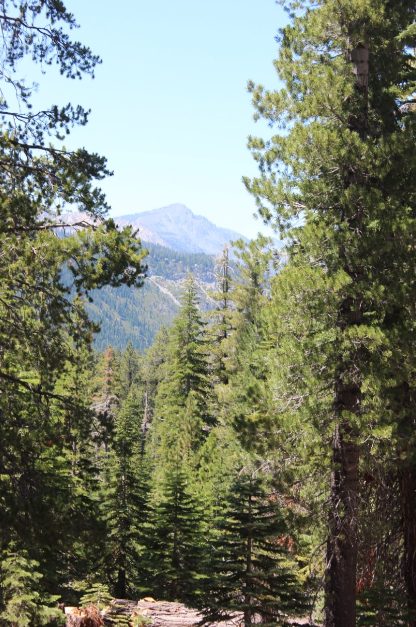 Mt. Tallac from the TRT area
