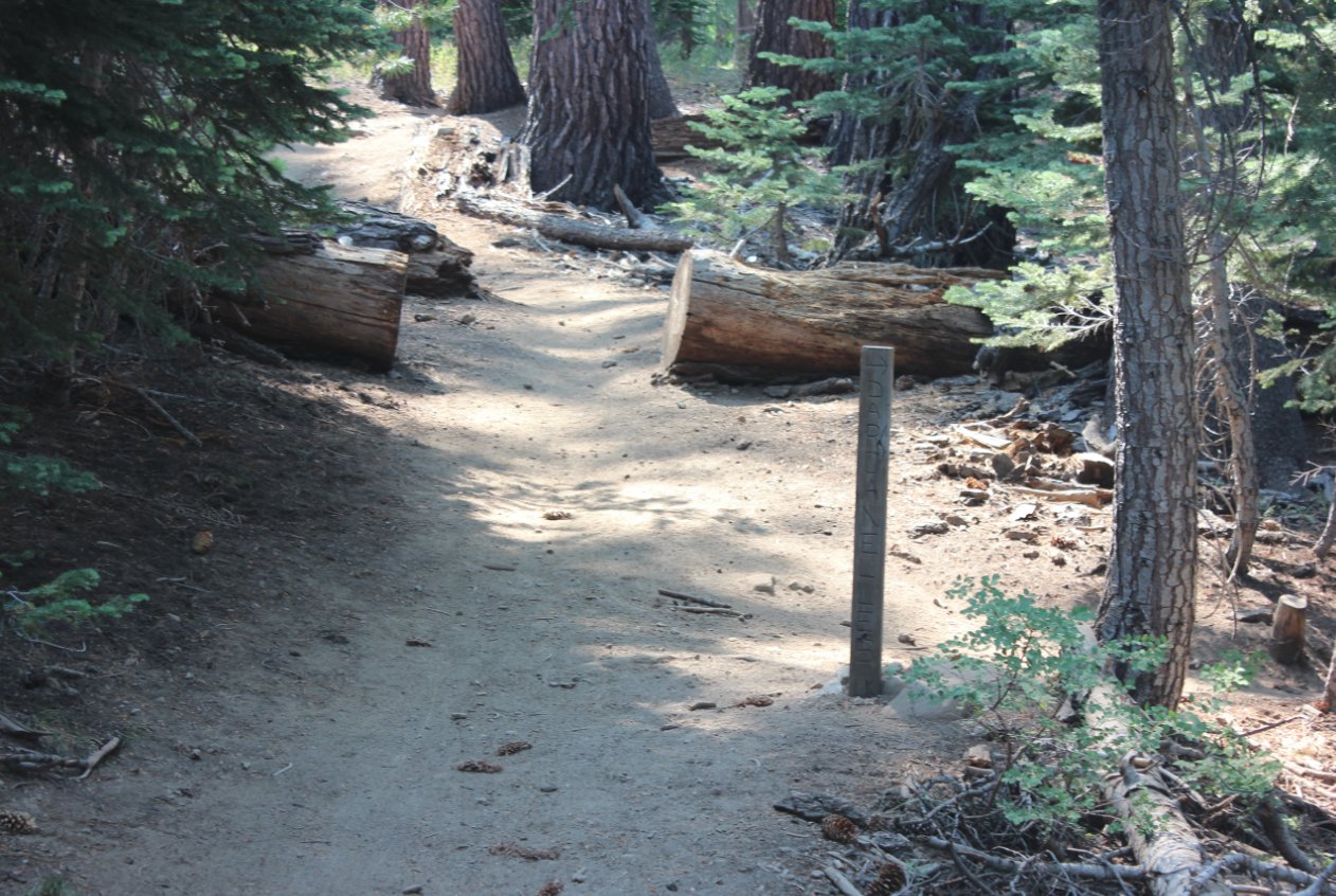 Dardanelles Lake junction