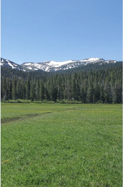 Big Meadow