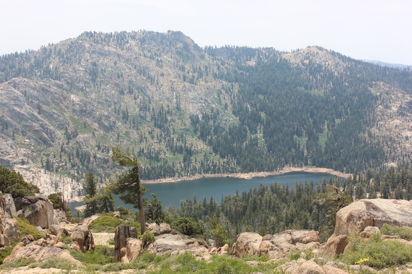 Meadow Lake