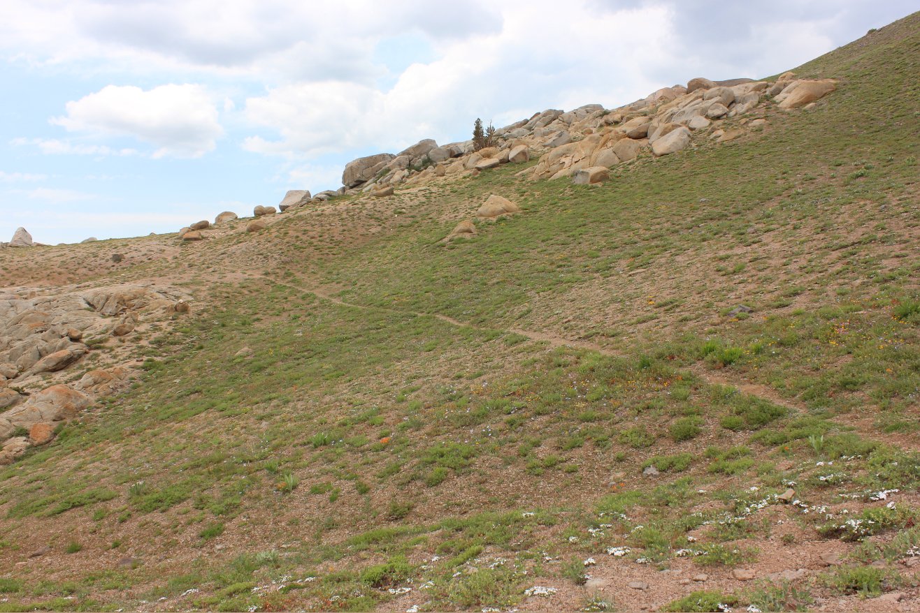 Near the last climb