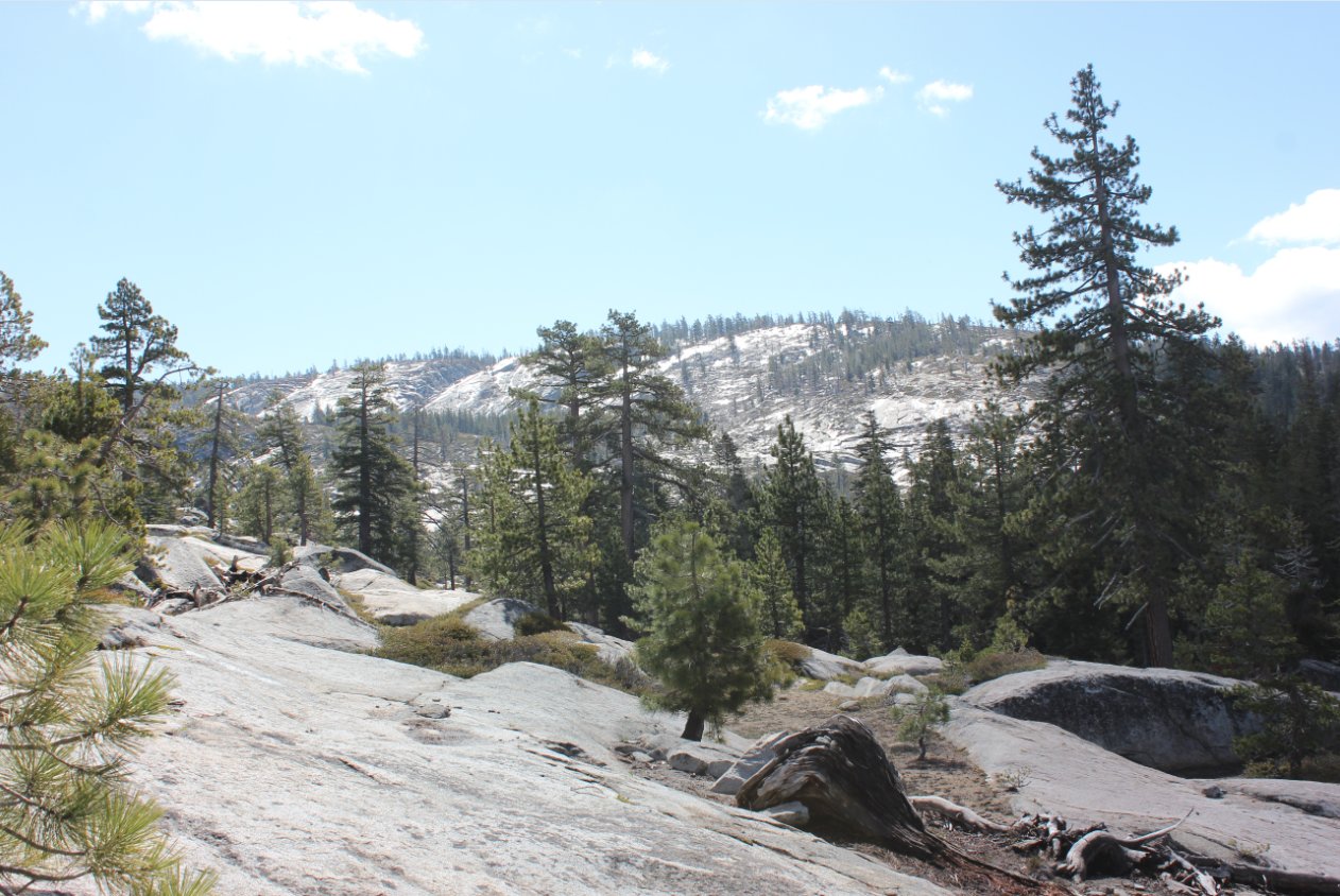 Topography