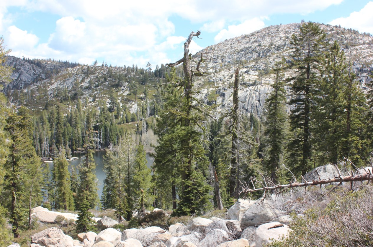 Almost to the lake