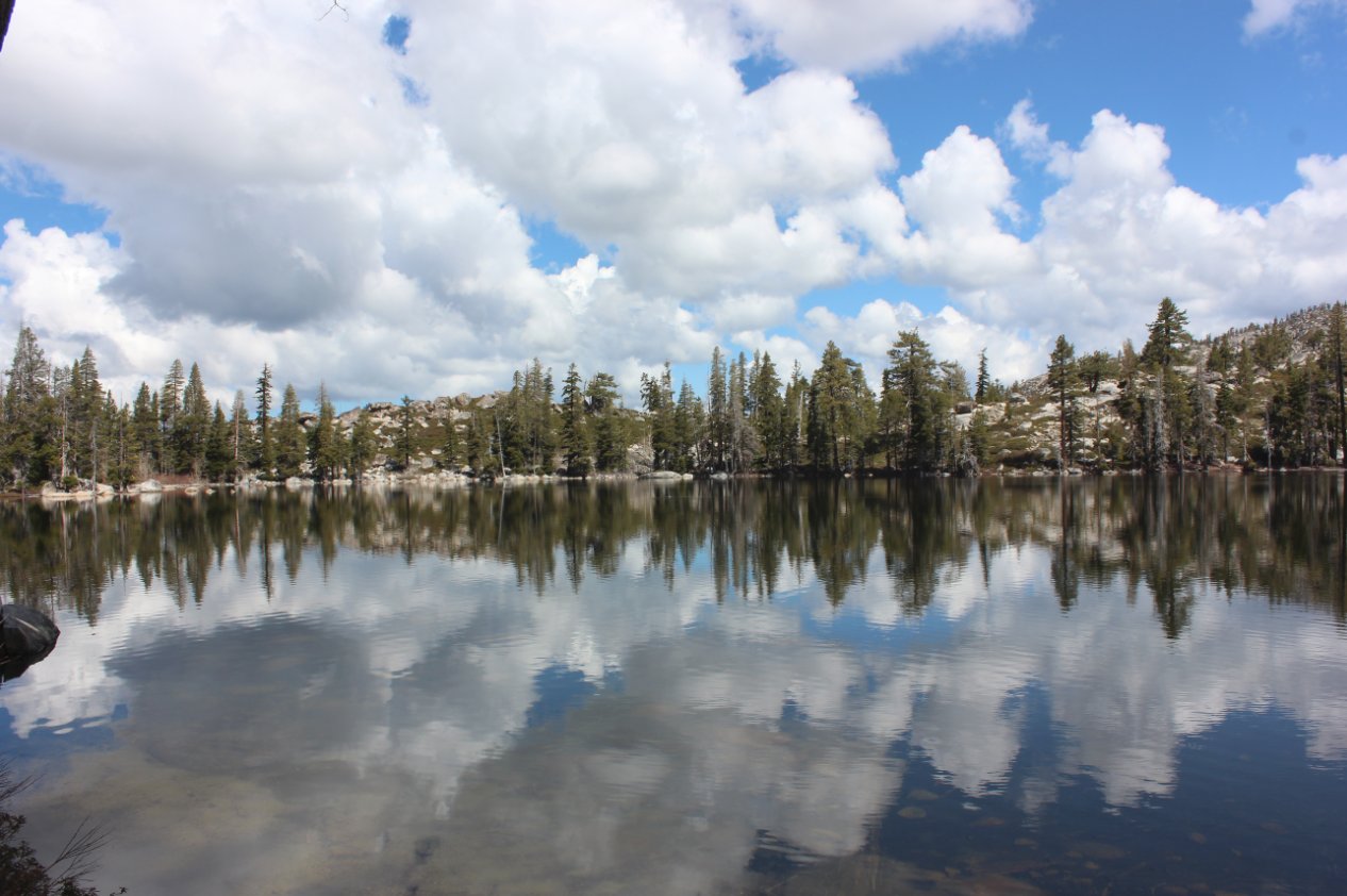 Reflection