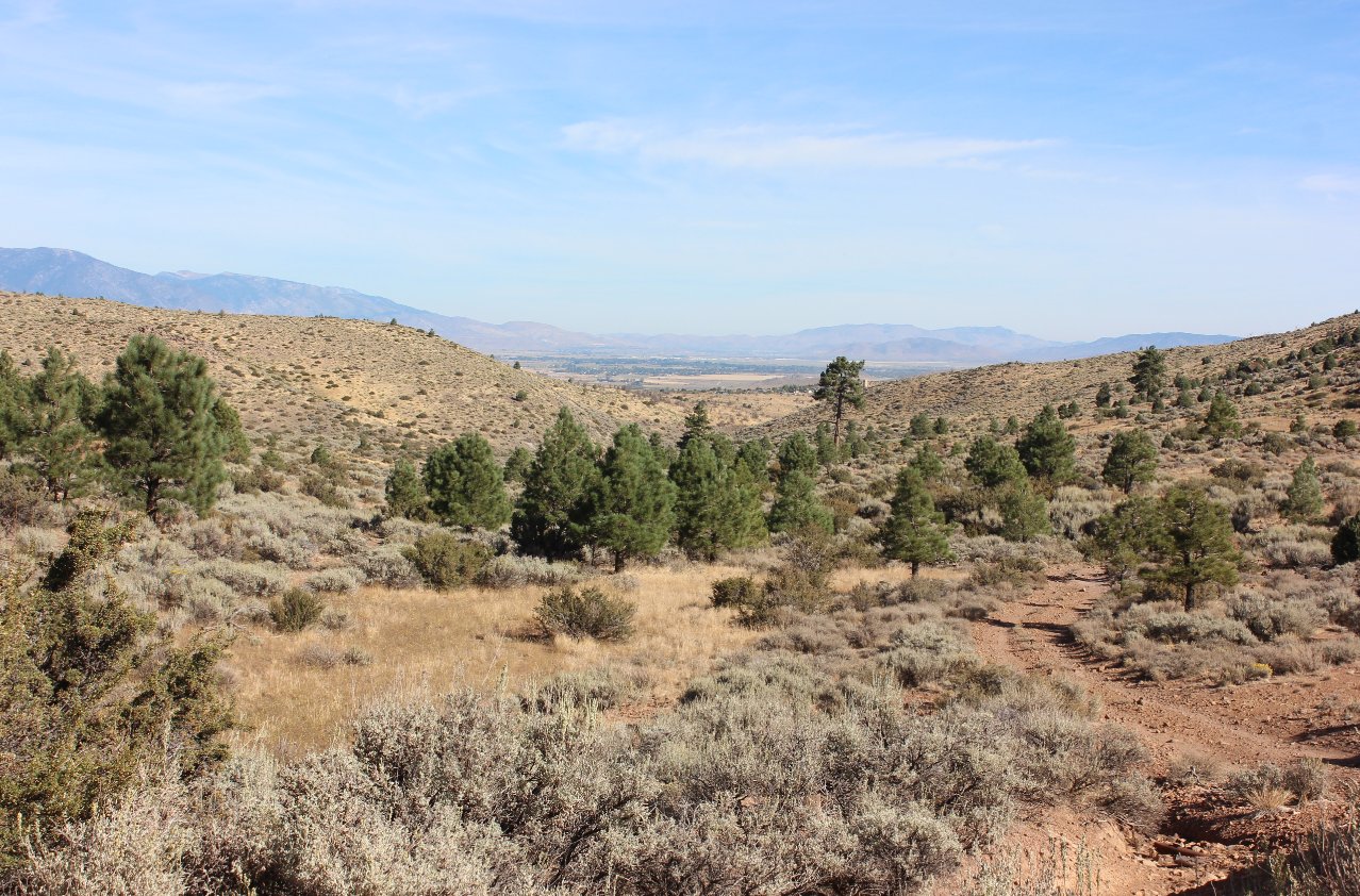 Looking north