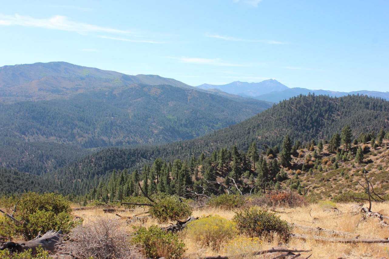 Rapid elevation gain