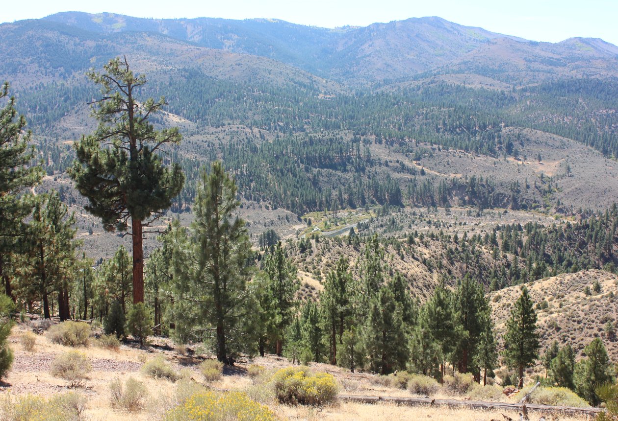 East Fork Carson River
