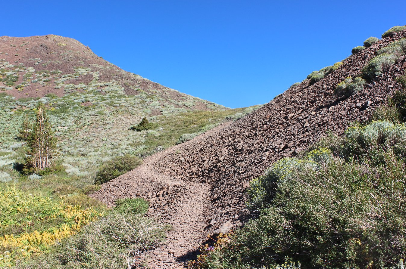 Nice use trail