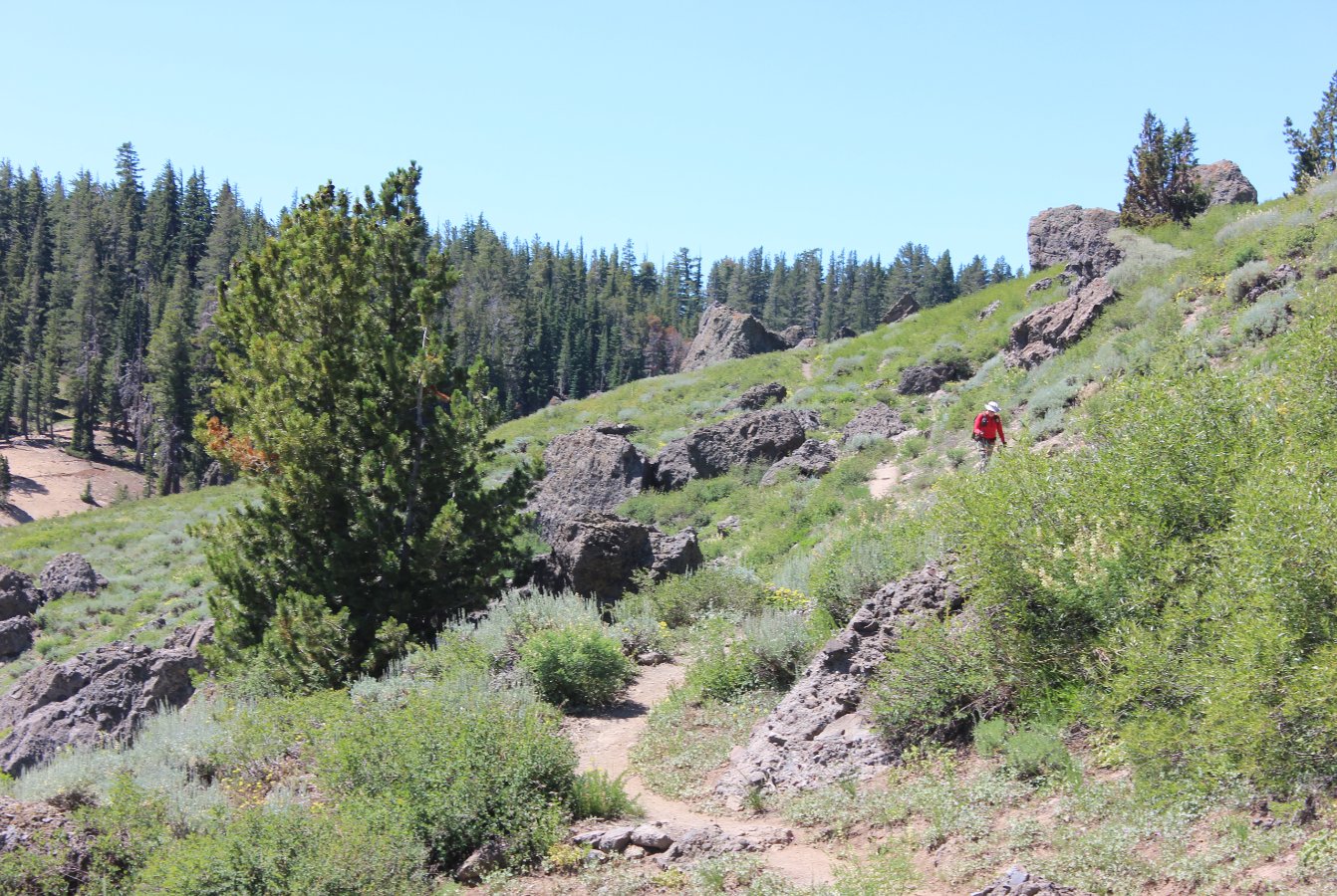 open trail
