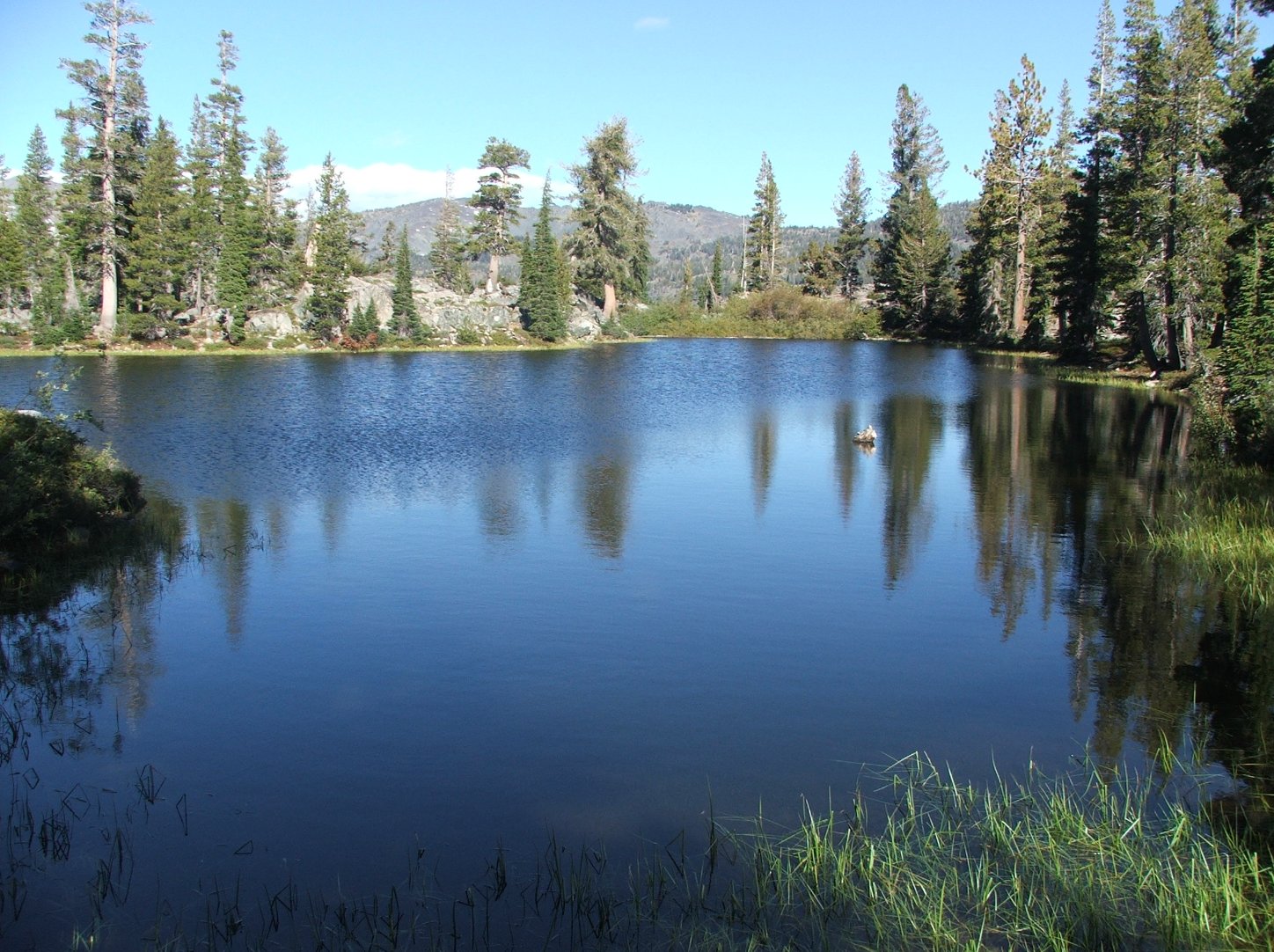 Triangle Lake
