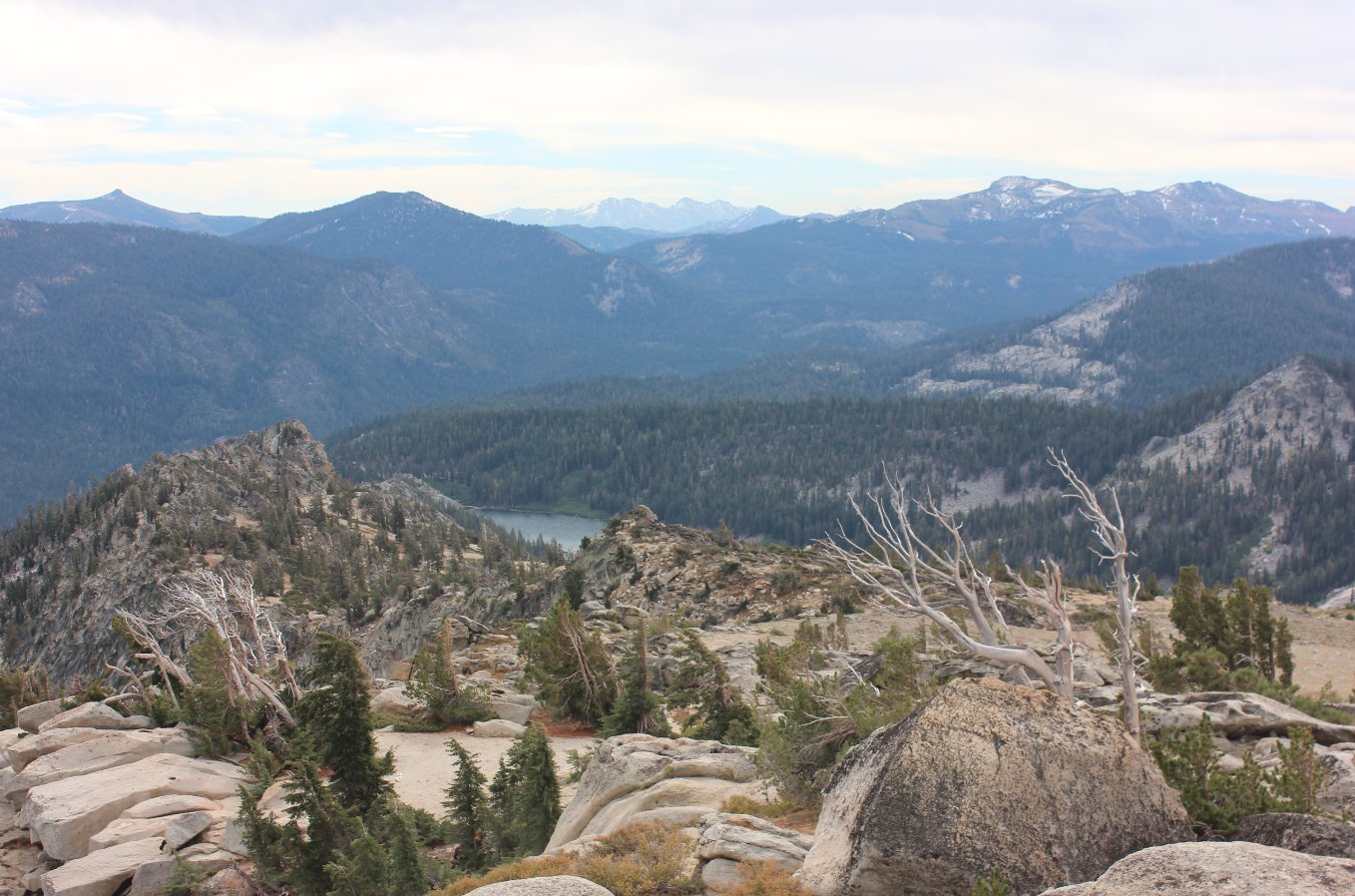 Looking south