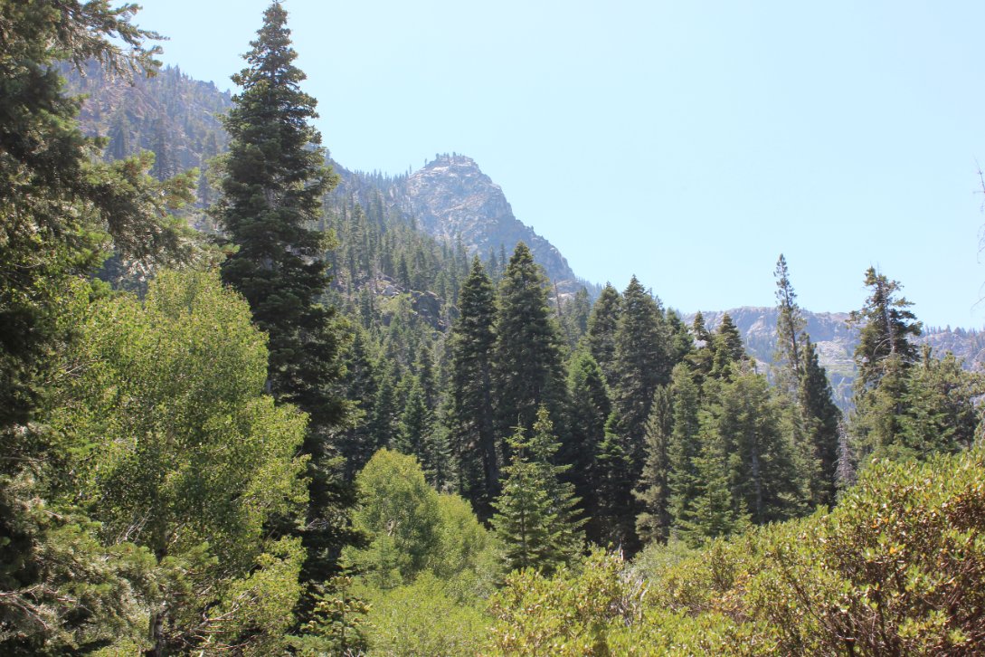 Looking up from the trail