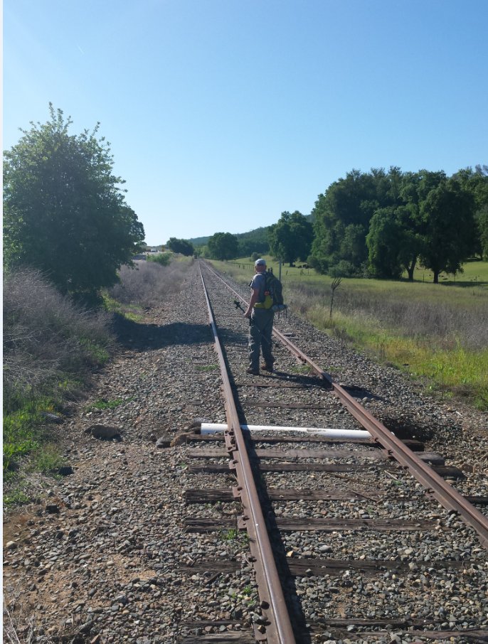 Mark on the trail