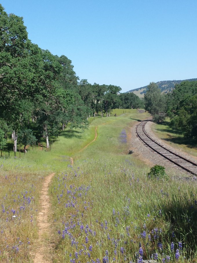 Trail colors