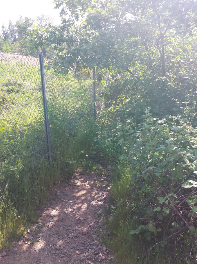 End of the Trail