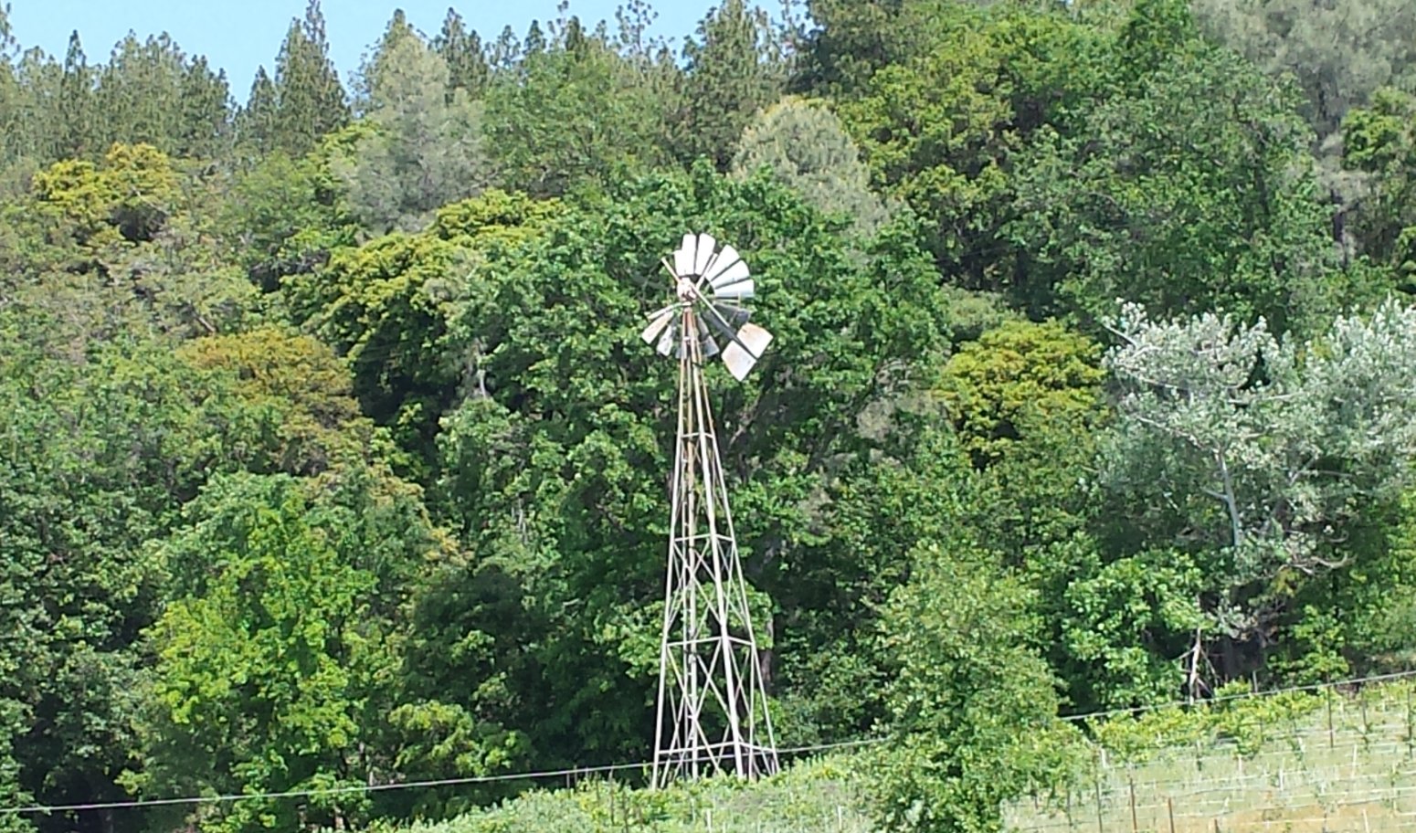 Windmill