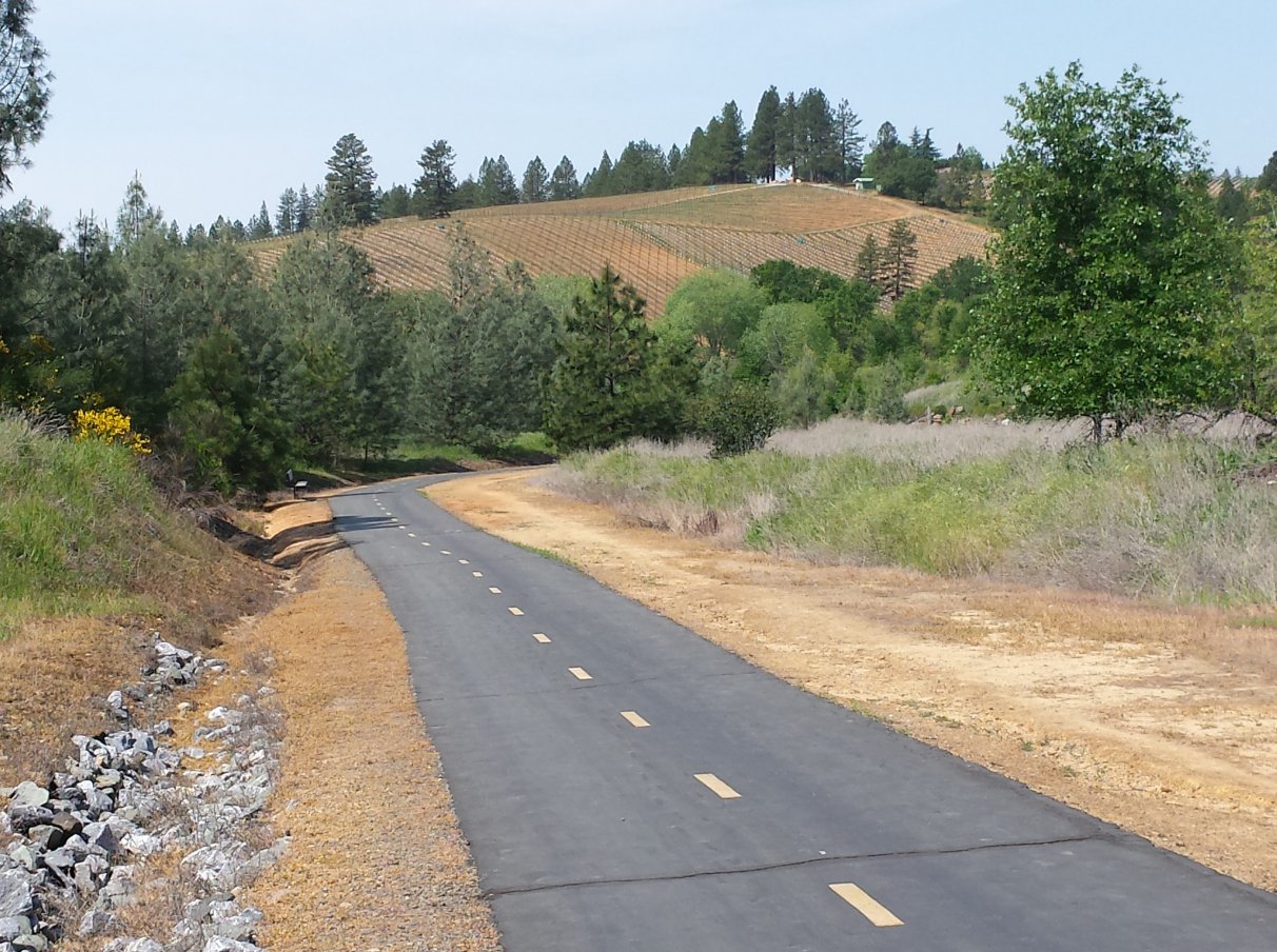 Placerville vinyard