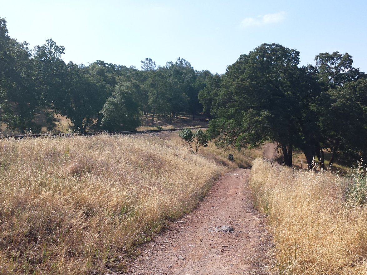 Trail section