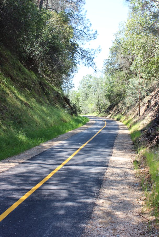 More of the trail