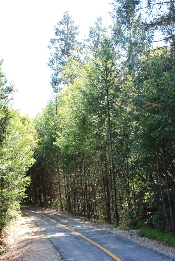 more trail