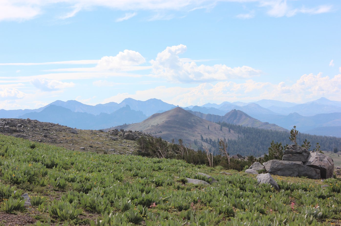 Views south along the PCT