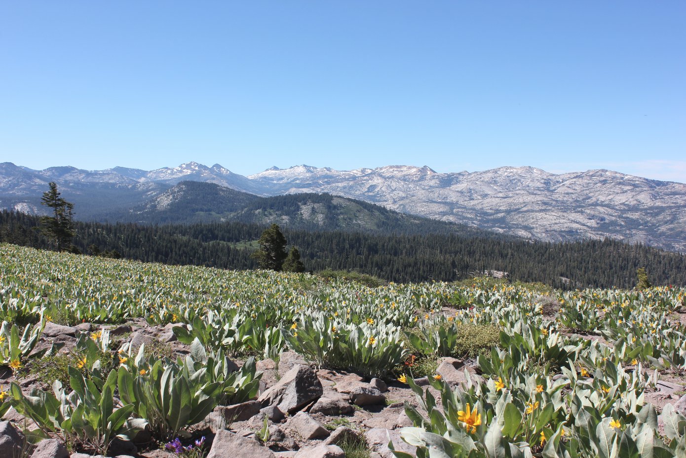 Stunning views at the first ridge