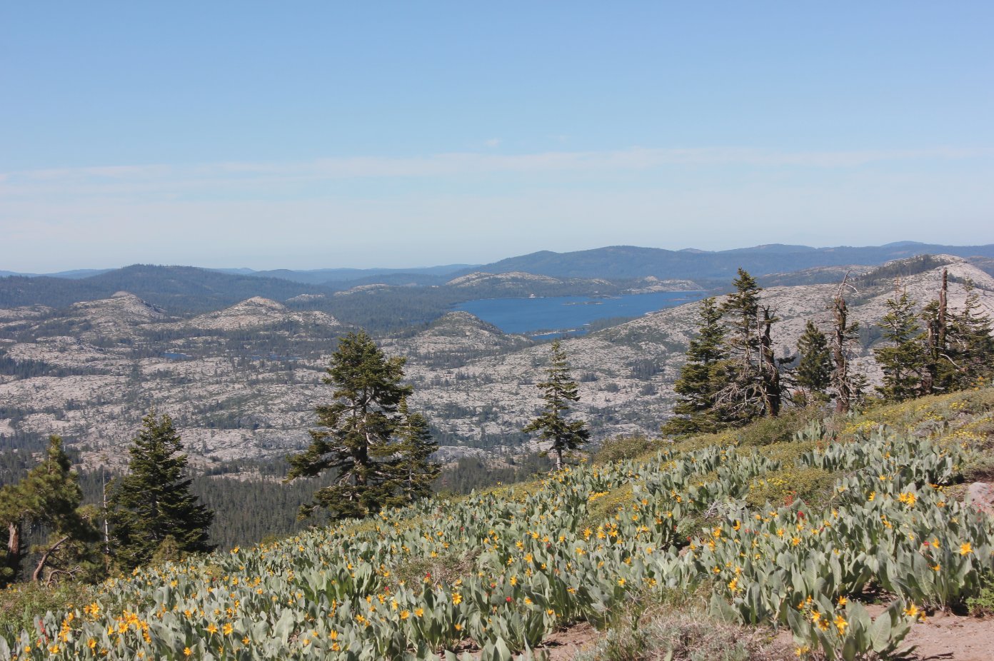 Loon Lake
