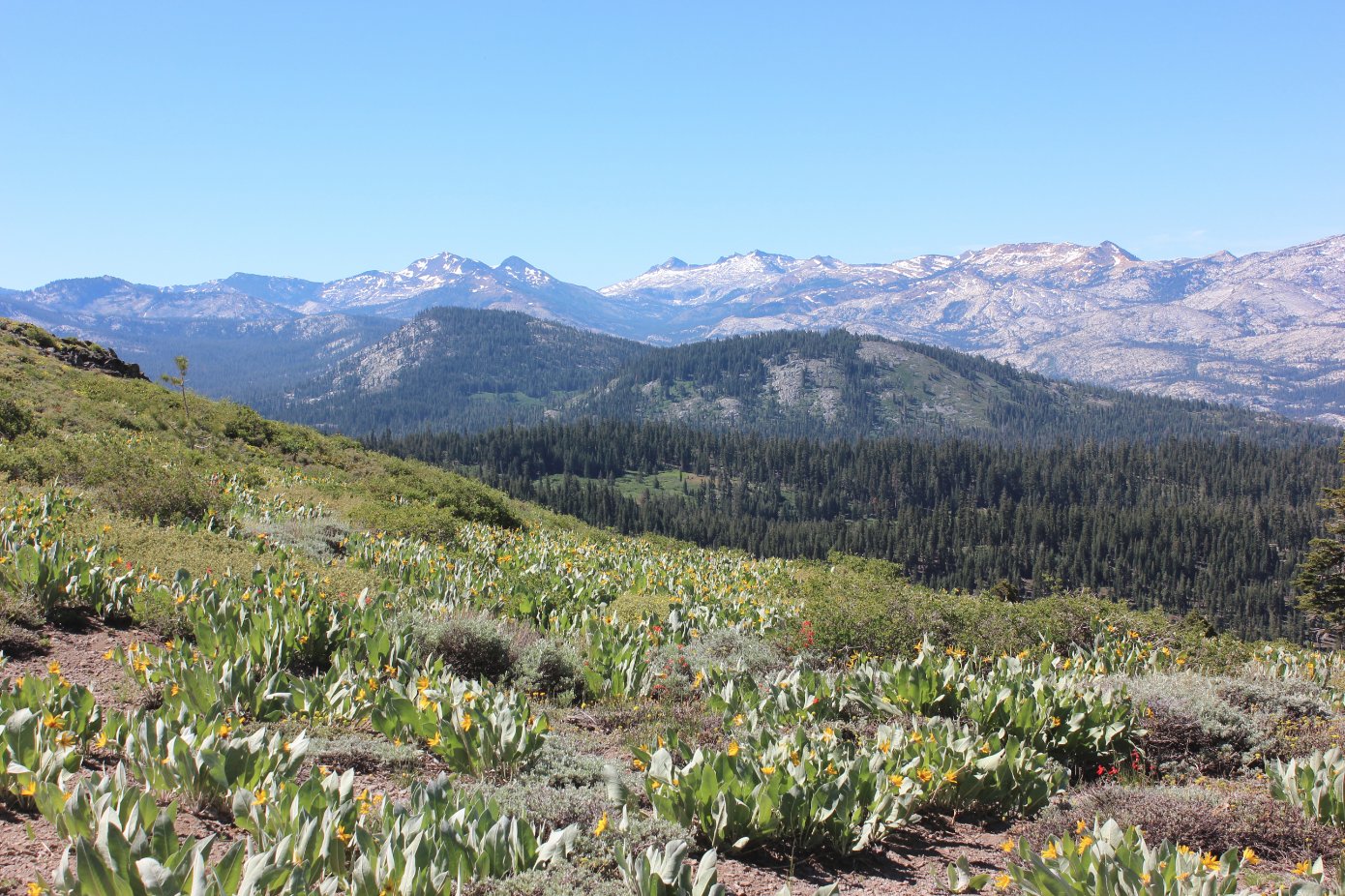 More views to the Southeast