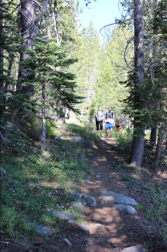 Kids on the trail