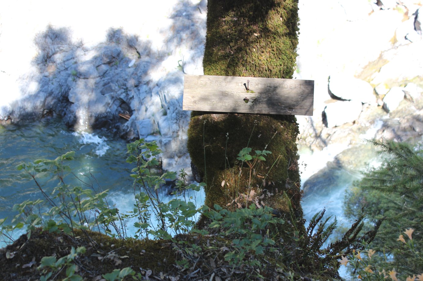 Old sign on the left junction trail
