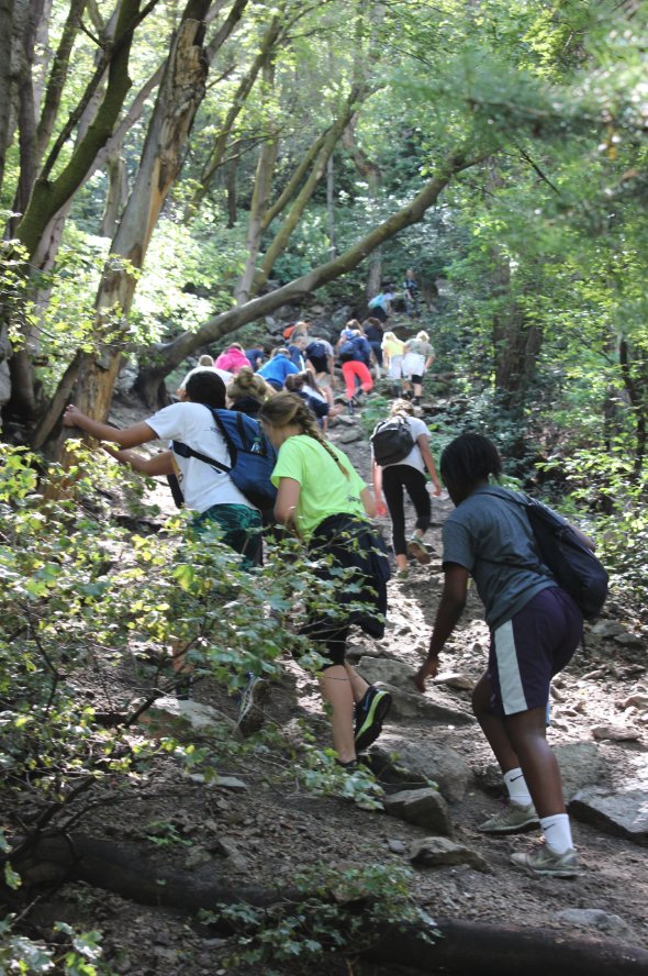 Hikers