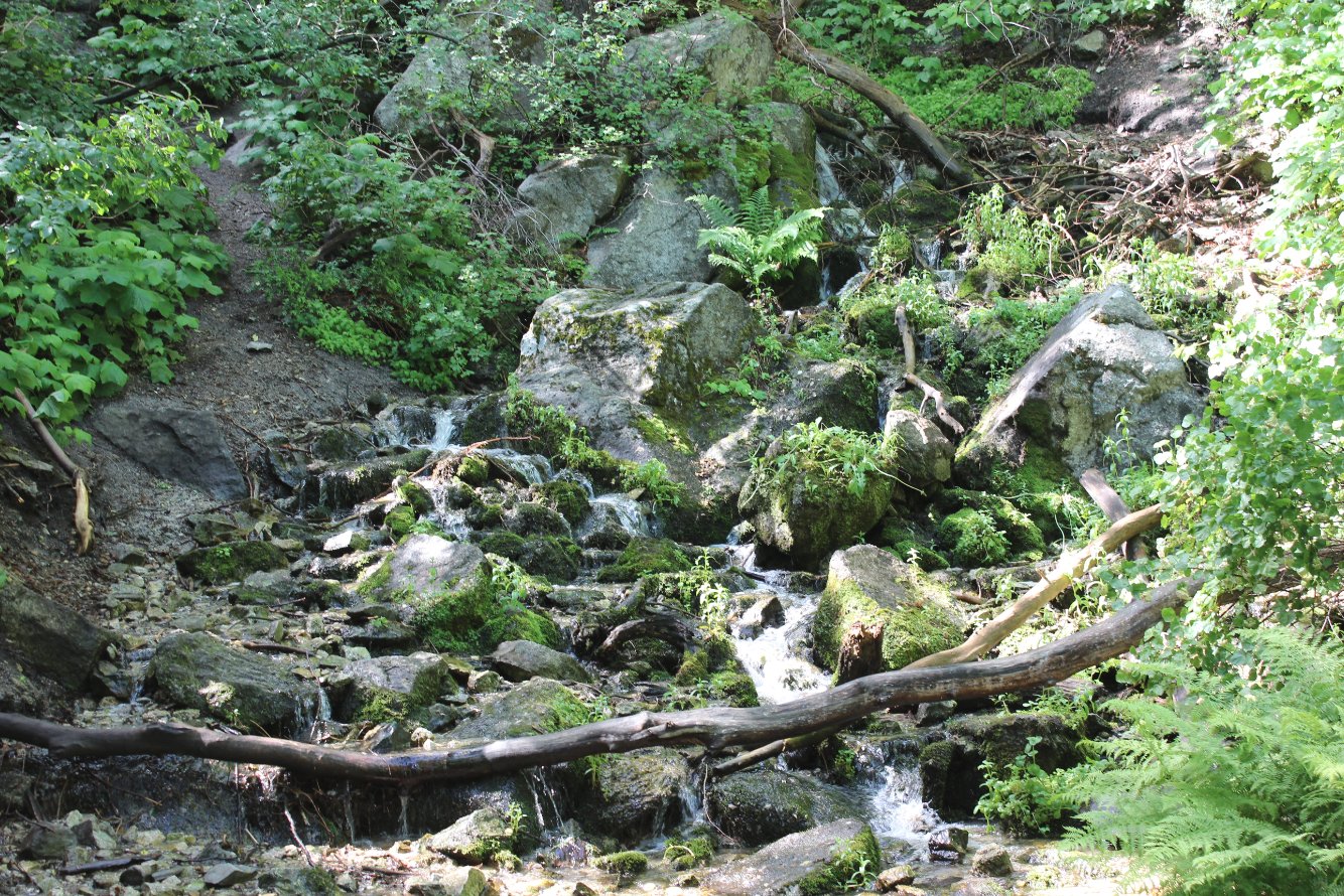 Water, water everywhere