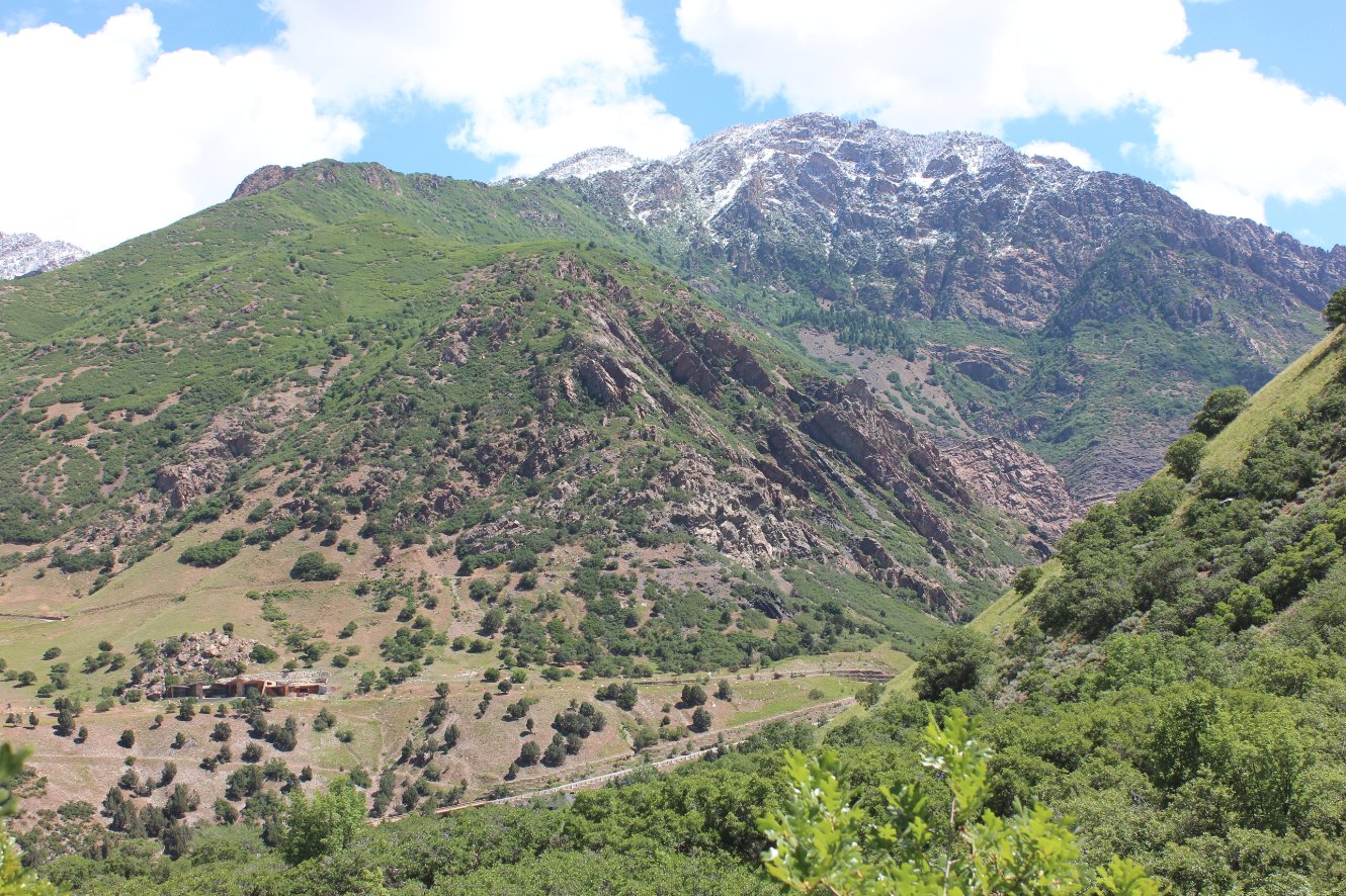 One last look back at the mountains
