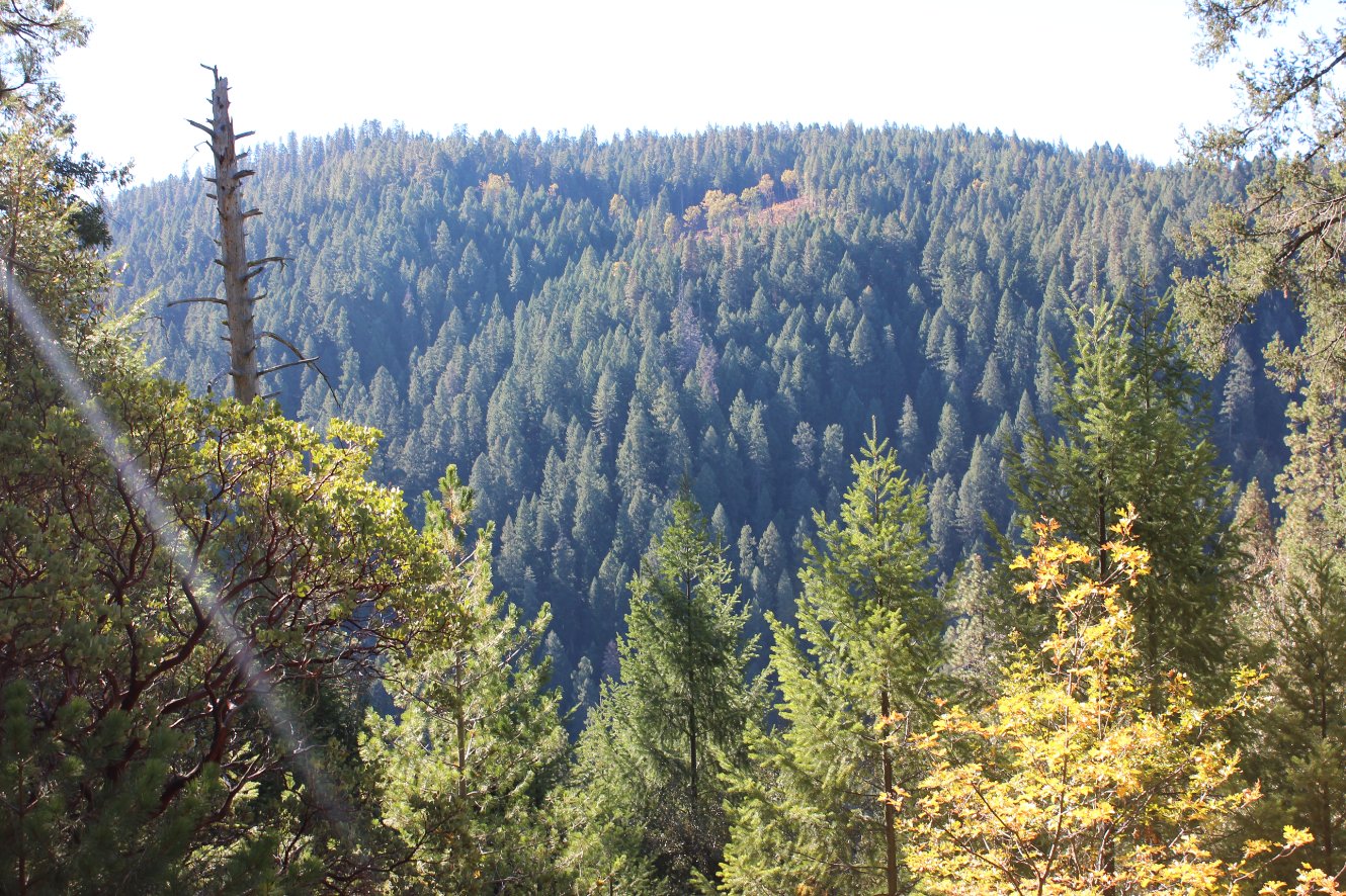 Limited sight view