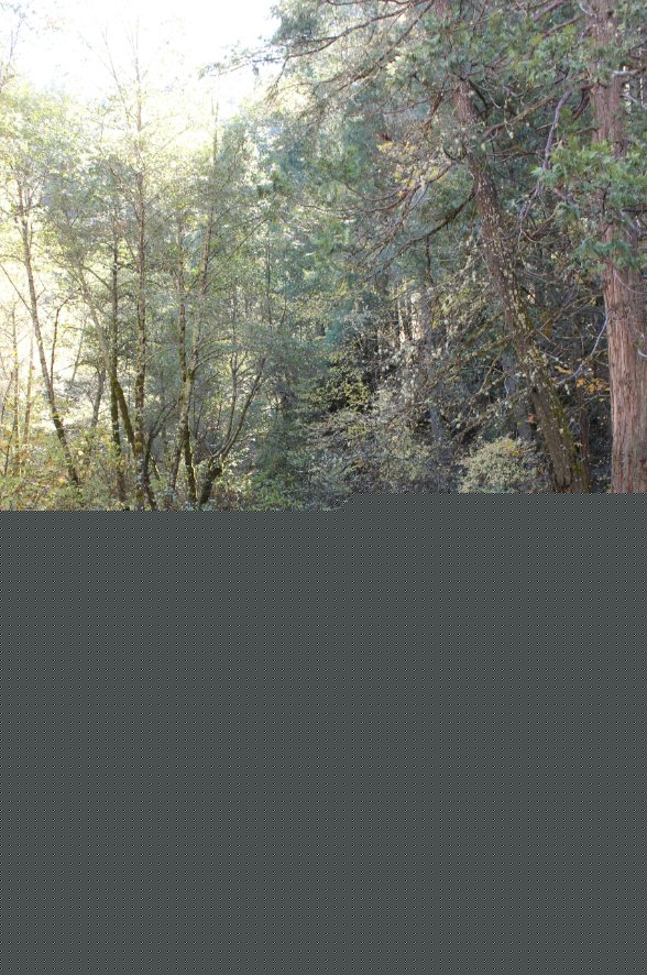 Camp Creek area