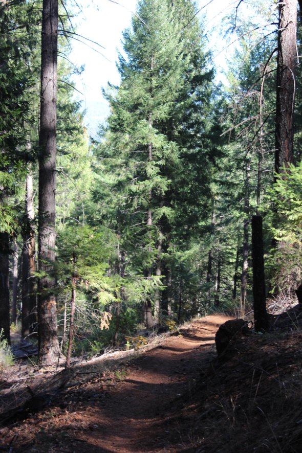 More trail