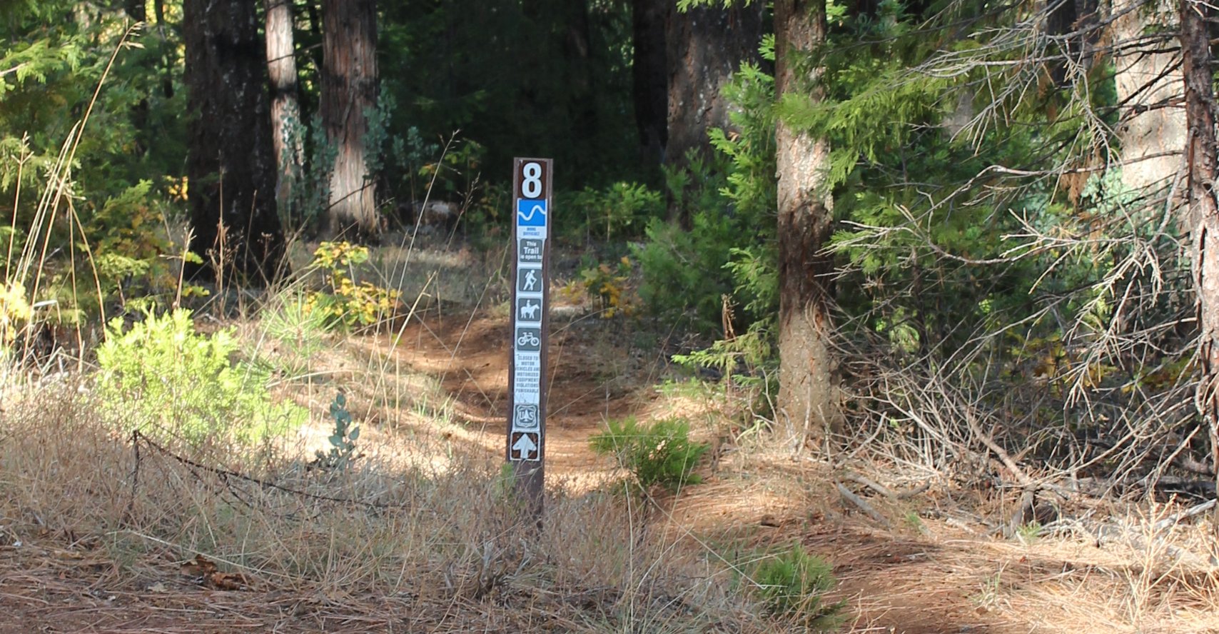 Trail markers