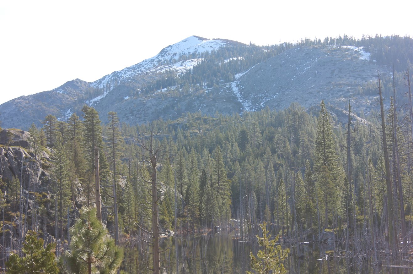 Signal Peak
