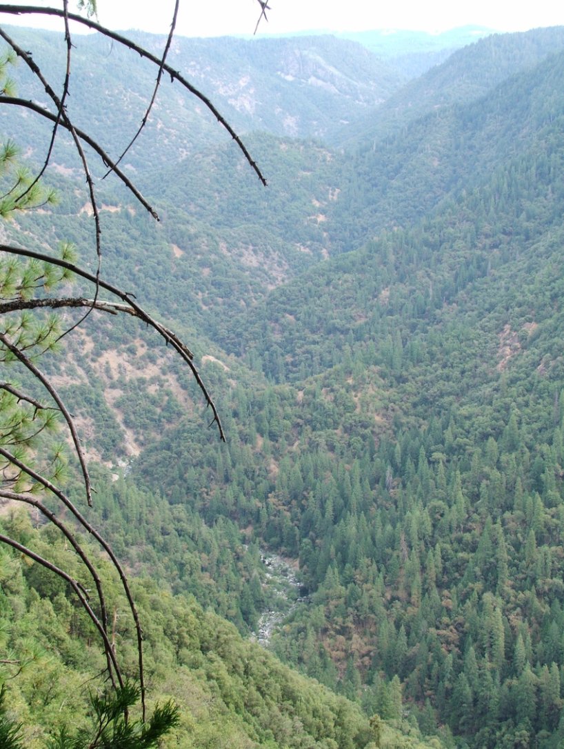 The view 2