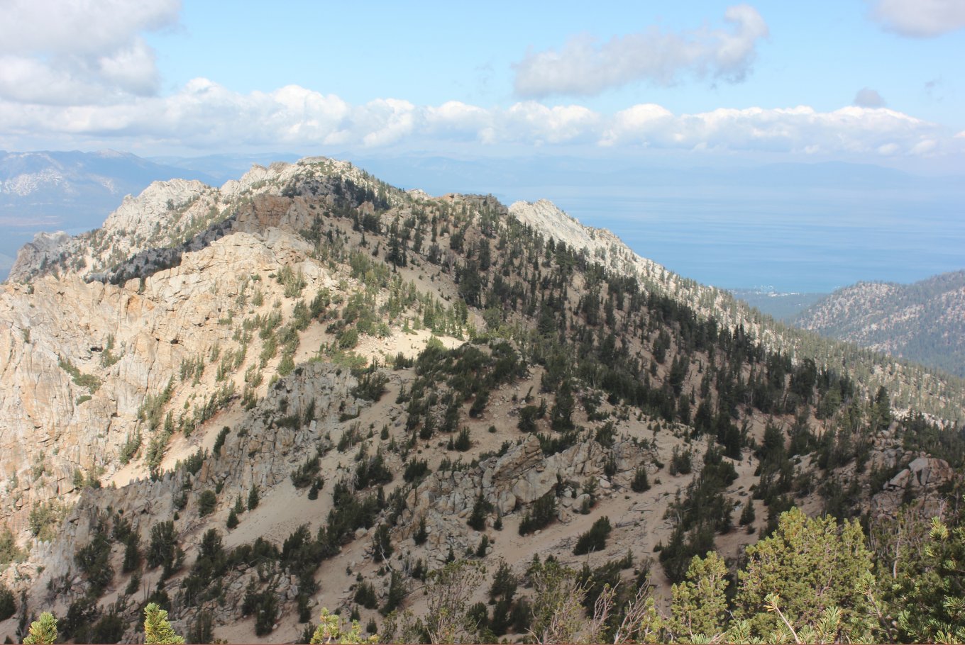 Trimmer and Tahoe