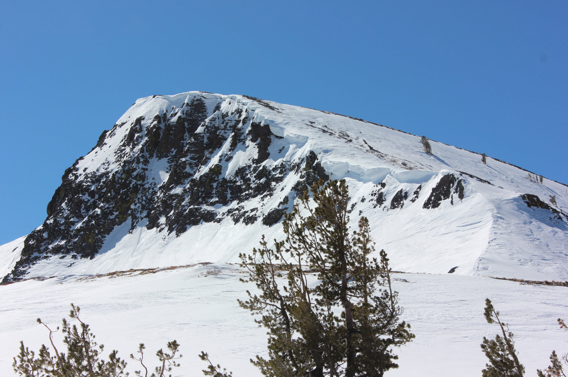 Elephant's Back Mountain