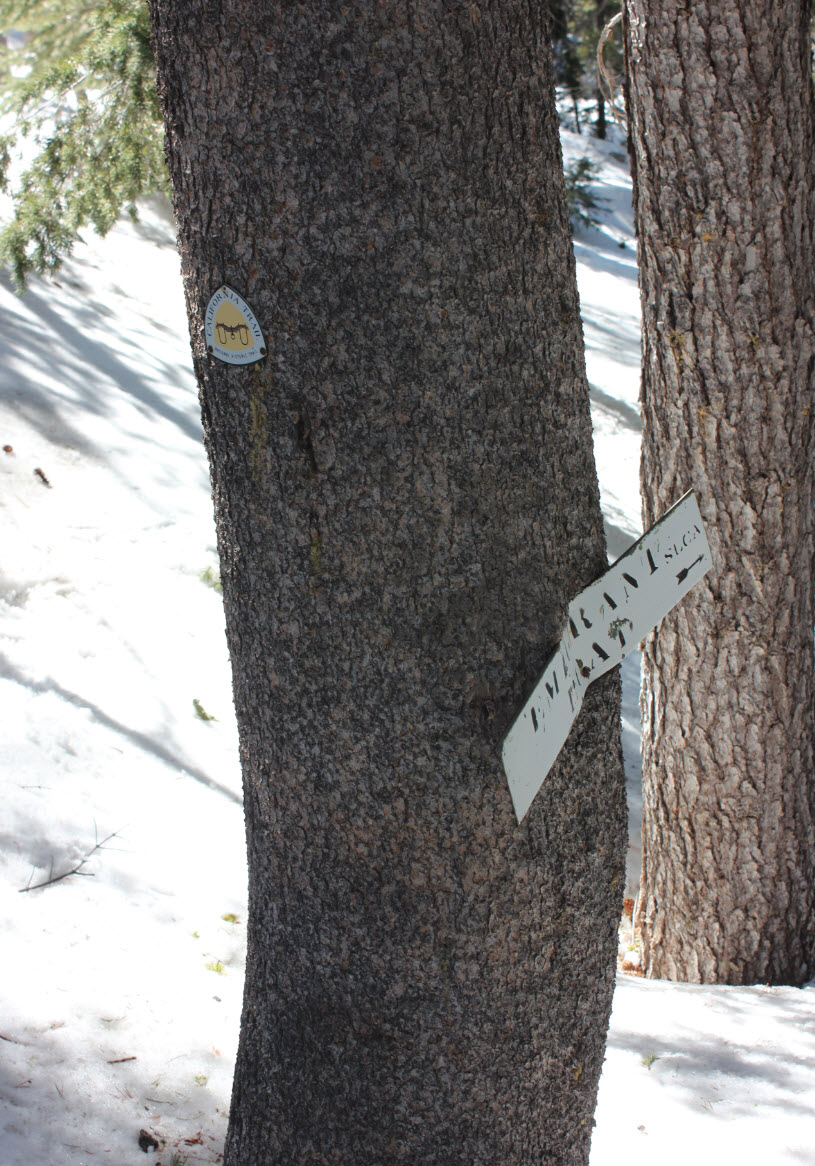 Emigrant Trail
