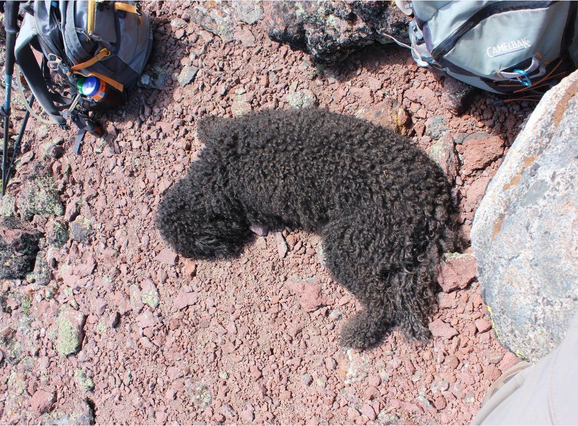Tired hiker